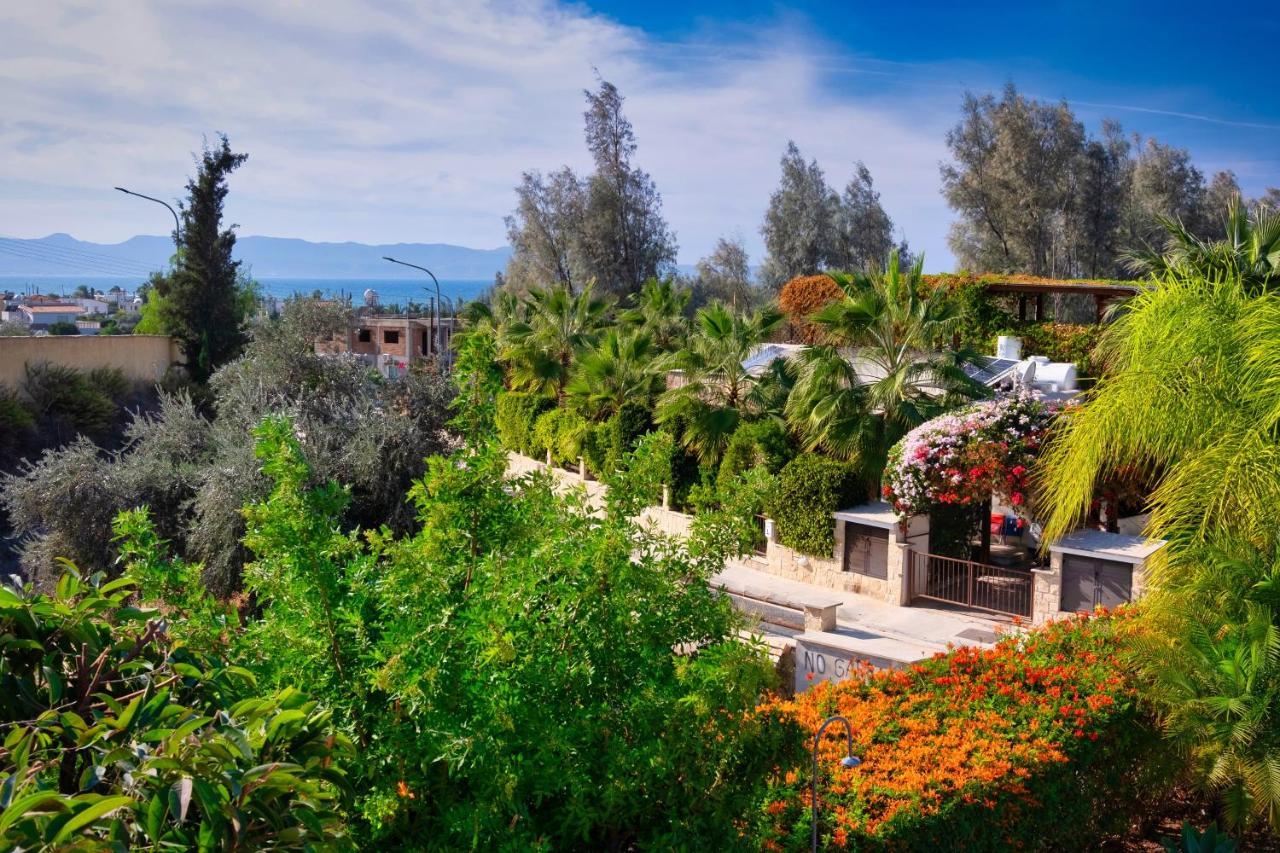 Villa Elena In Αργάκα Εξωτερικό φωτογραφία