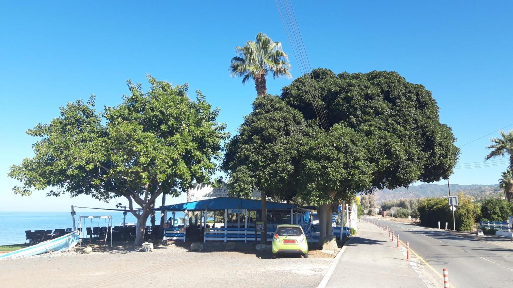 Villa Elena In Αργάκα Εξωτερικό φωτογραφία