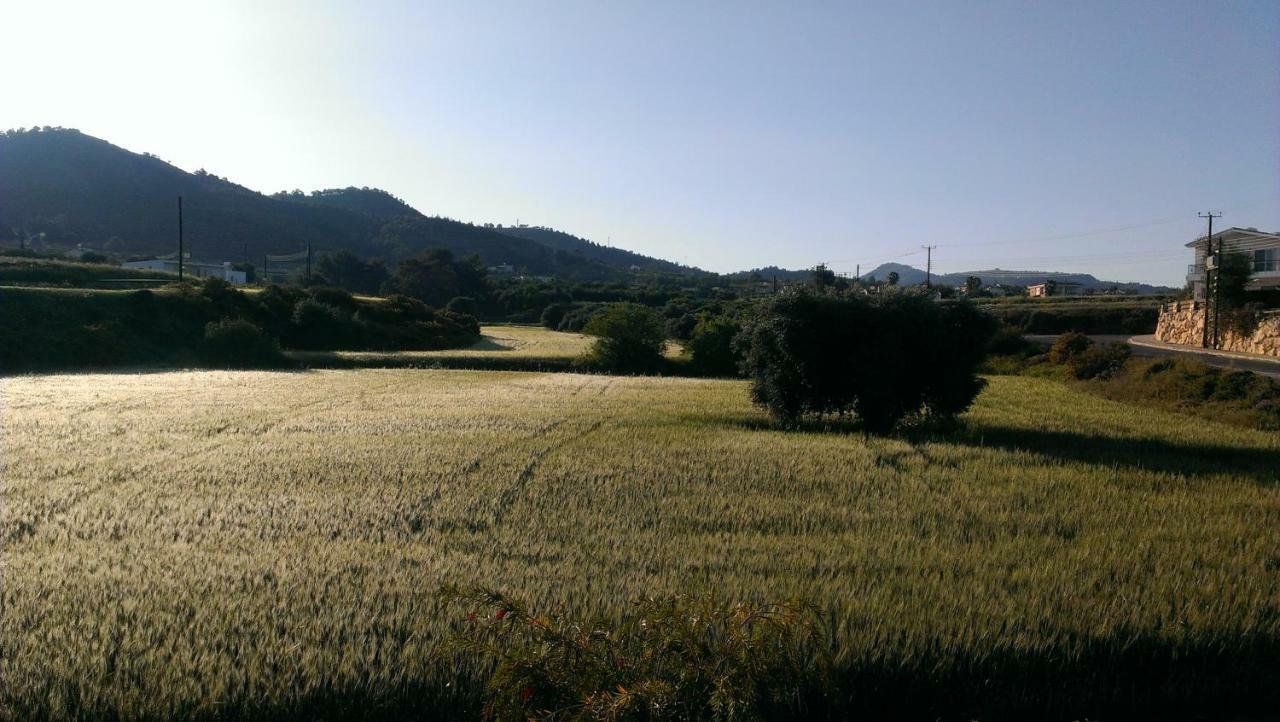 Villa Elena In Αργάκα Εξωτερικό φωτογραφία